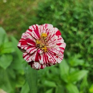 Meet your Posher, Marian